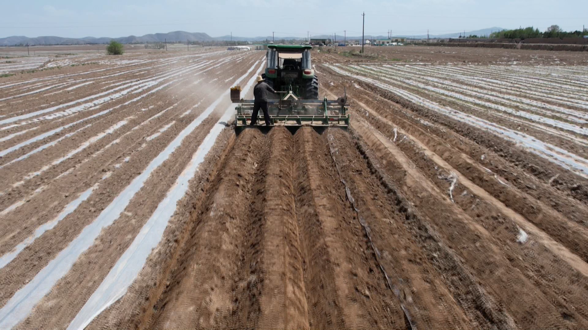 好书记带动全村脱贫,村党建引领发展壮大村级集体经济