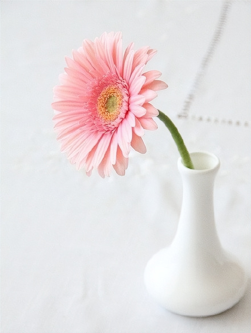 早安的正能量句子朋友圈,早安开心的句子发朋友圈