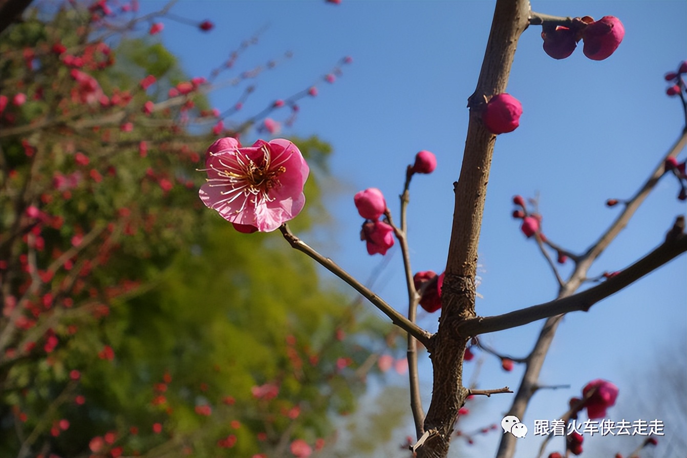 宜兴云湖旅游区好去处,打卡宜兴云湖风景区