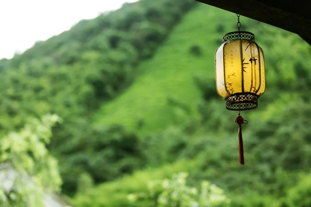 莫干山川野特色民宿,莫干山民宿亲子游烧烤