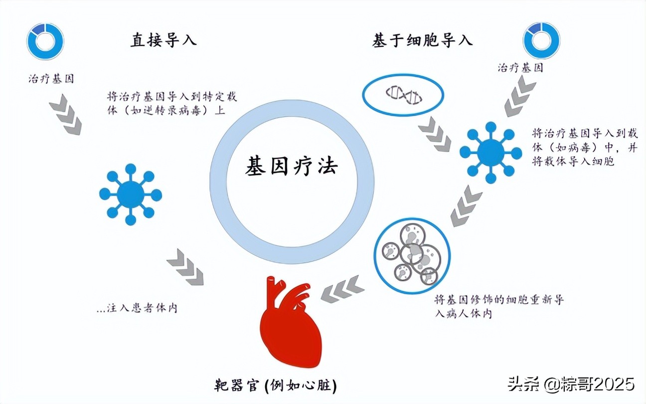 降维打击！全新的前沿赛道，注定占据未来高点的一批生科公司