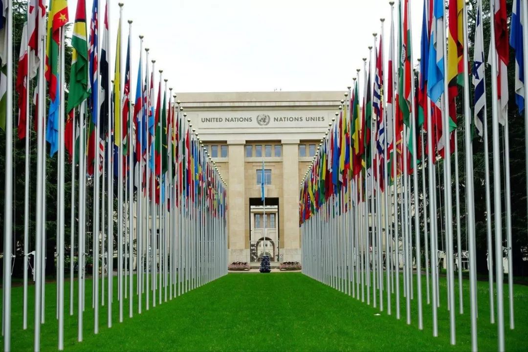 顶尖国际口译实战之旅—2023策马国际组织实战口译营（日内瓦）