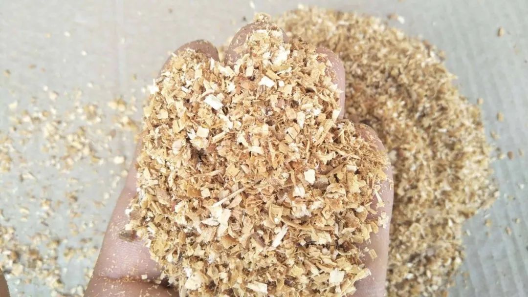 养兰植料要因地制宜,养兰花植料技术管理视频