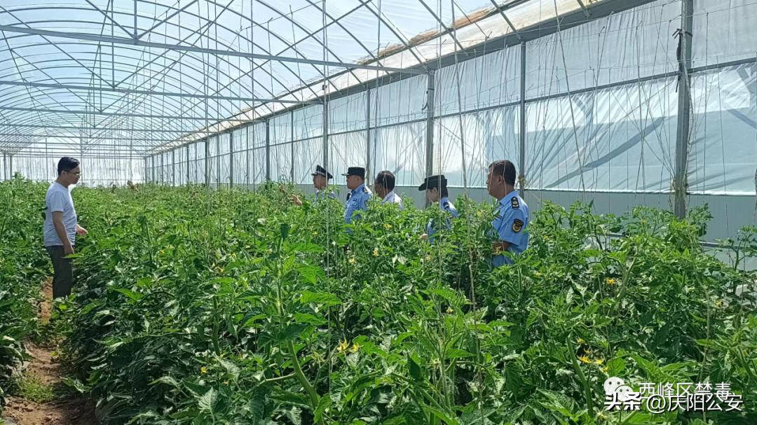 禁毒宣传进寄递业筑牢禁毒防线,开展禁毒宣教筑牢禁毒安全防线