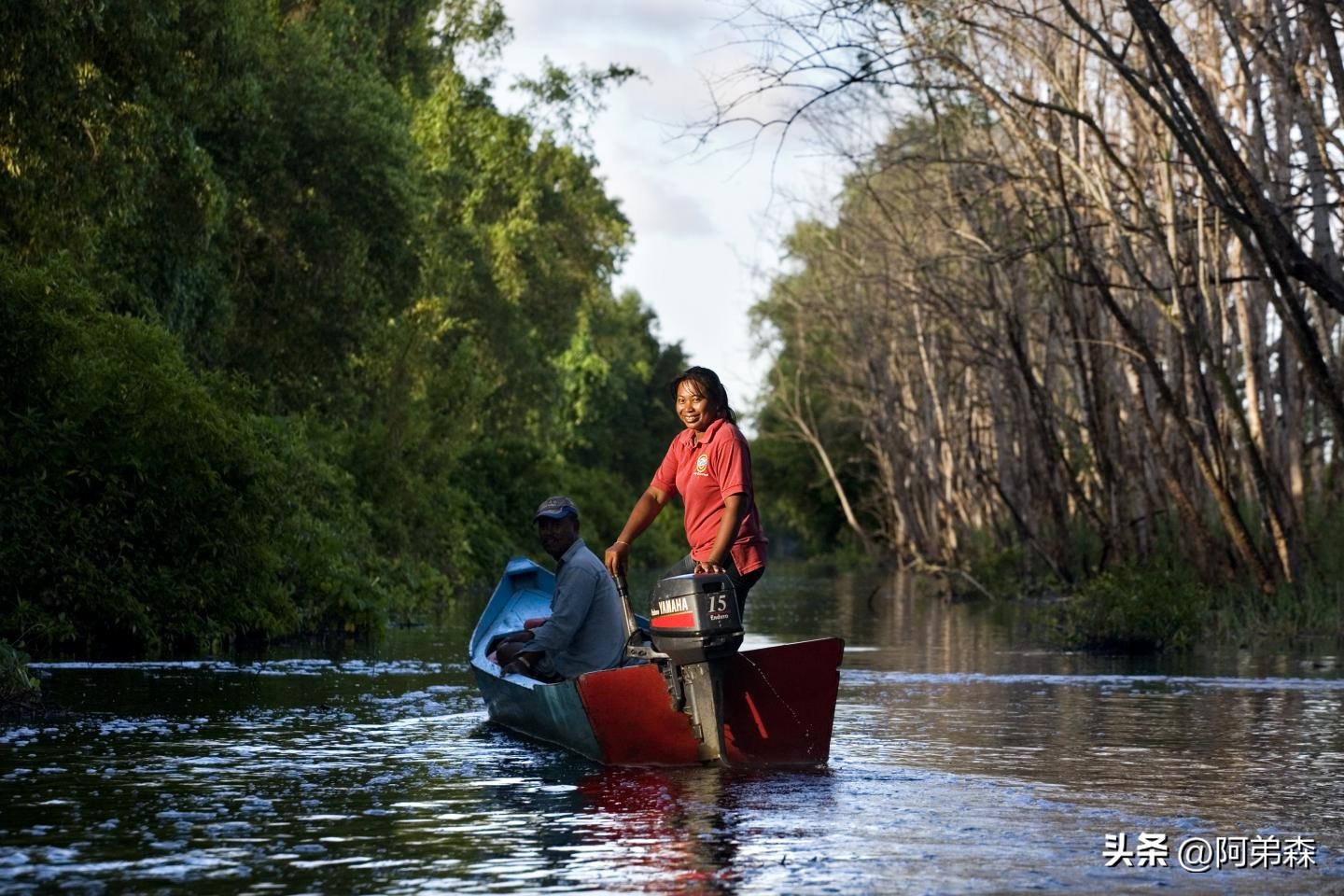 韩剧苏里南细节,韩剧苏里南完整版