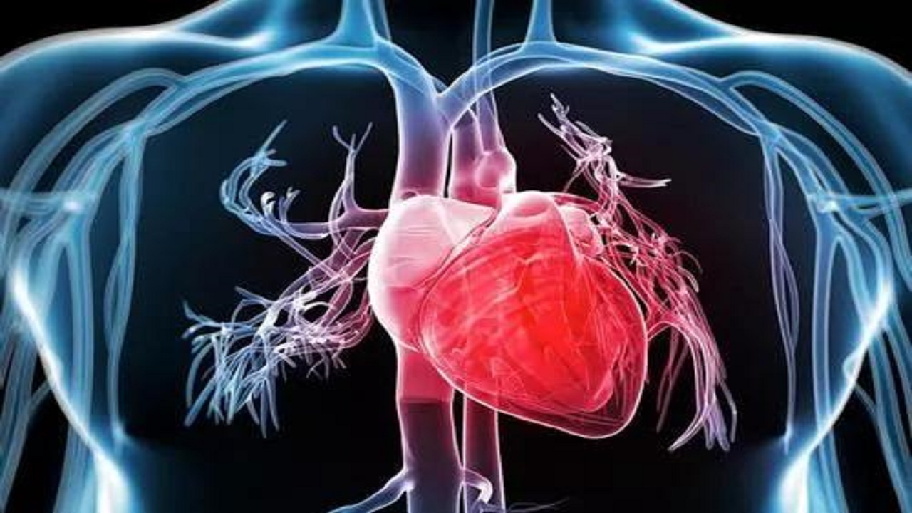 心跳过快还伴有心慌,心跳过快是否会引起心悸