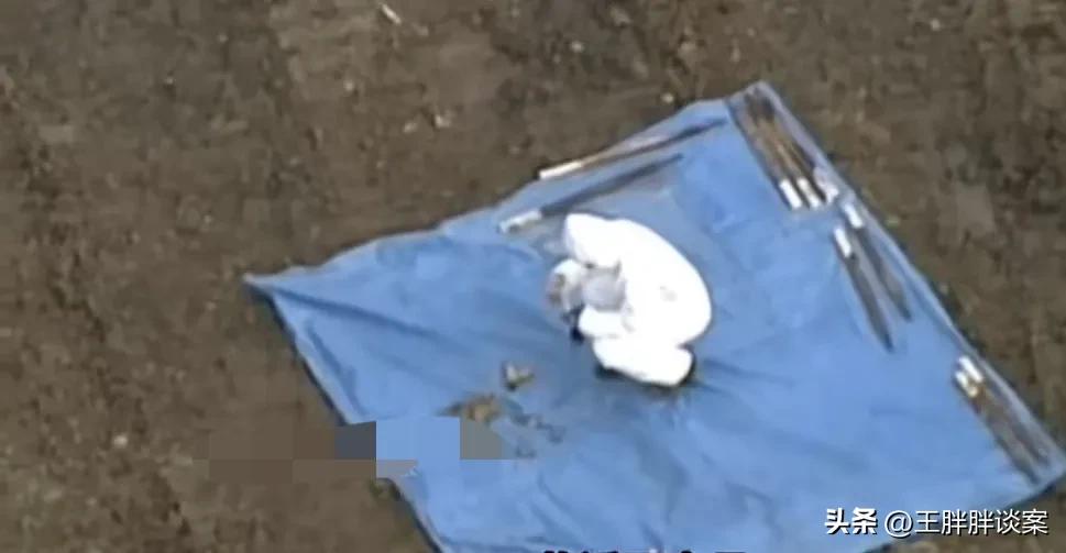 魂断墨尔本,失踪被碎尸丢弃垃圾填埋场的单亲妈妈。