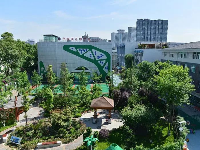 成都少年体校出现过世界冠军吗,成都少体校全国排名