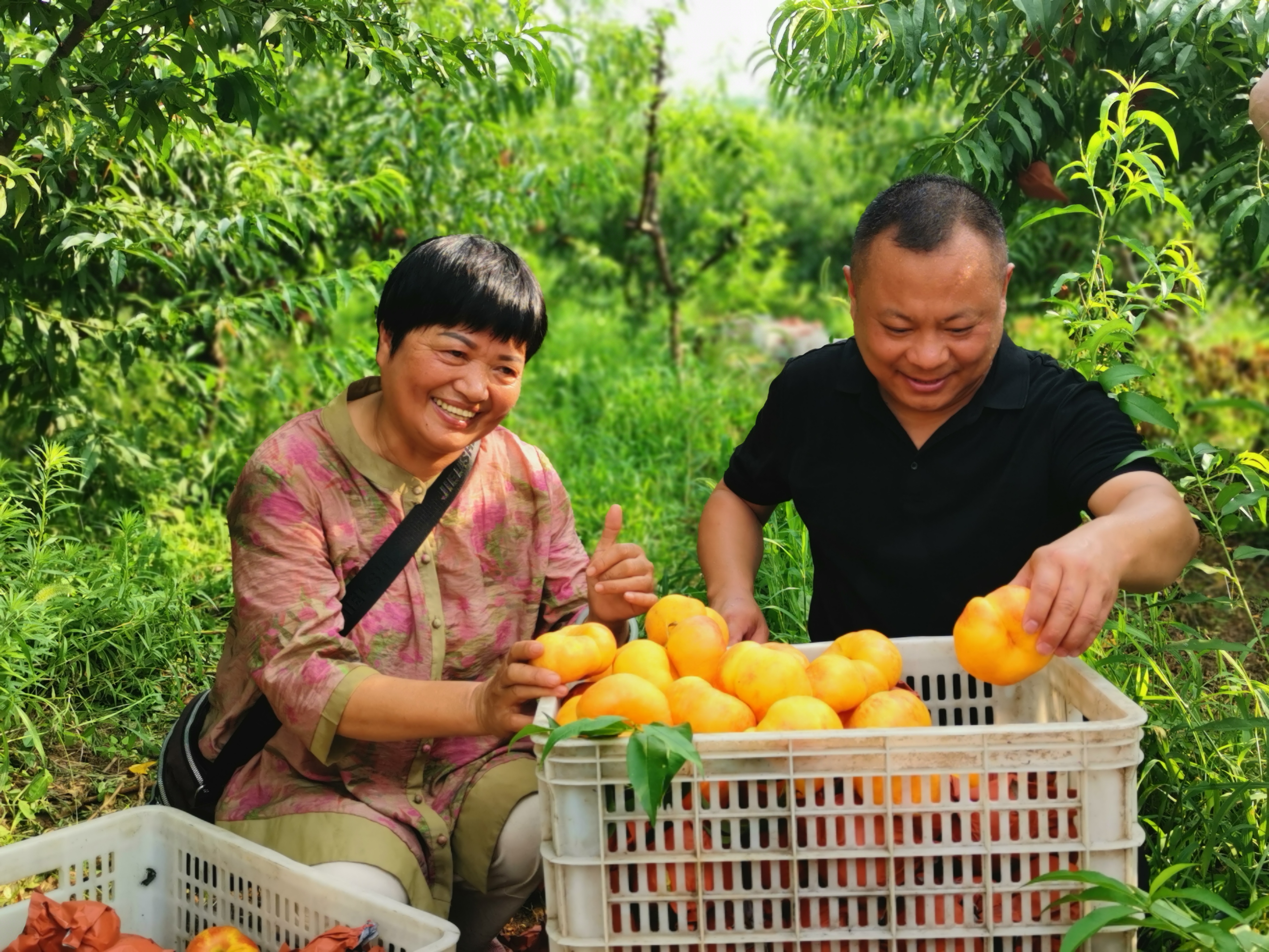 襄阳老河口市乡村振兴有哪些项目,湖北省老河口市乡村振兴工作重点
