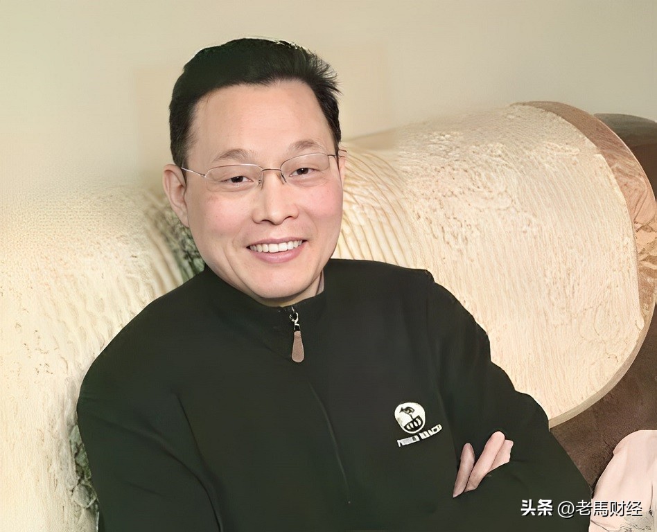 南京十大富豪有几个安徽人,南京前20位有钱的人是谁