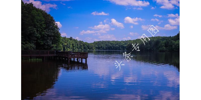 在农村开店卖干果,我在农村有20万怎样创业