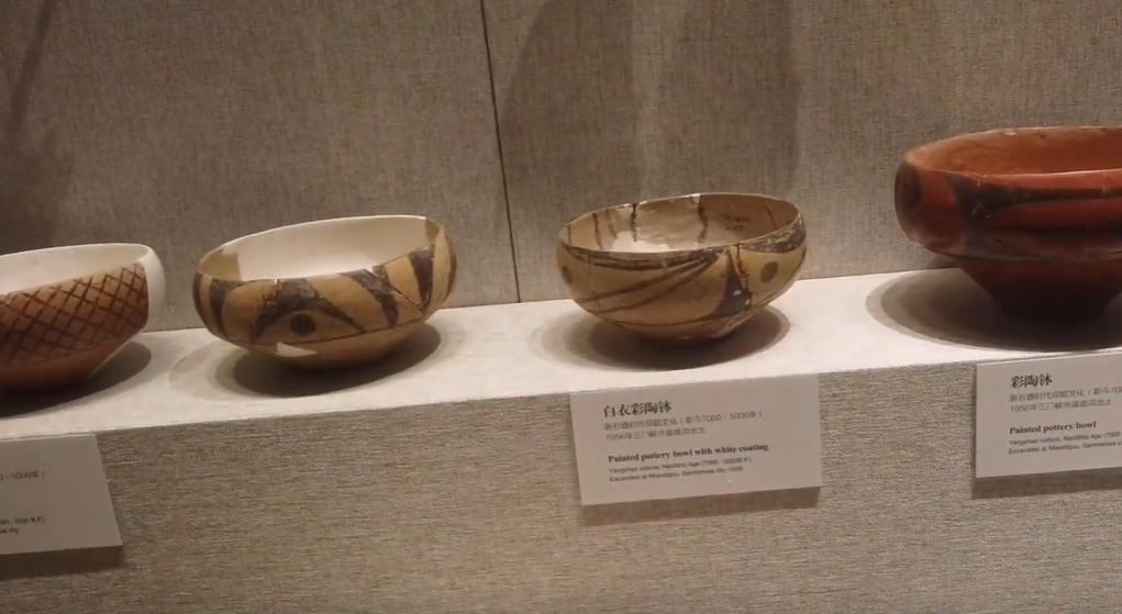 郑州博物馆讲解,郑州大鲵科普展馆