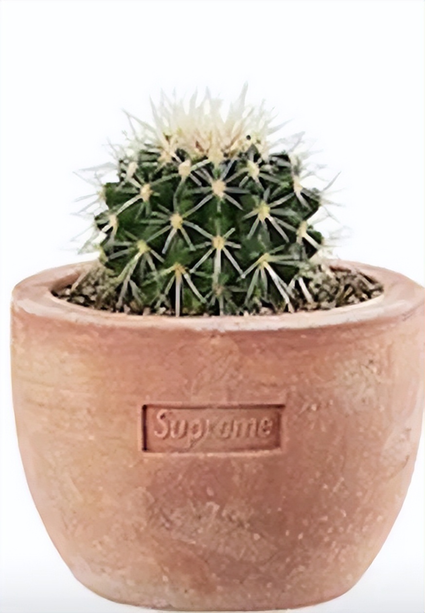 week18值得入手吗,week8新款哪里有卖