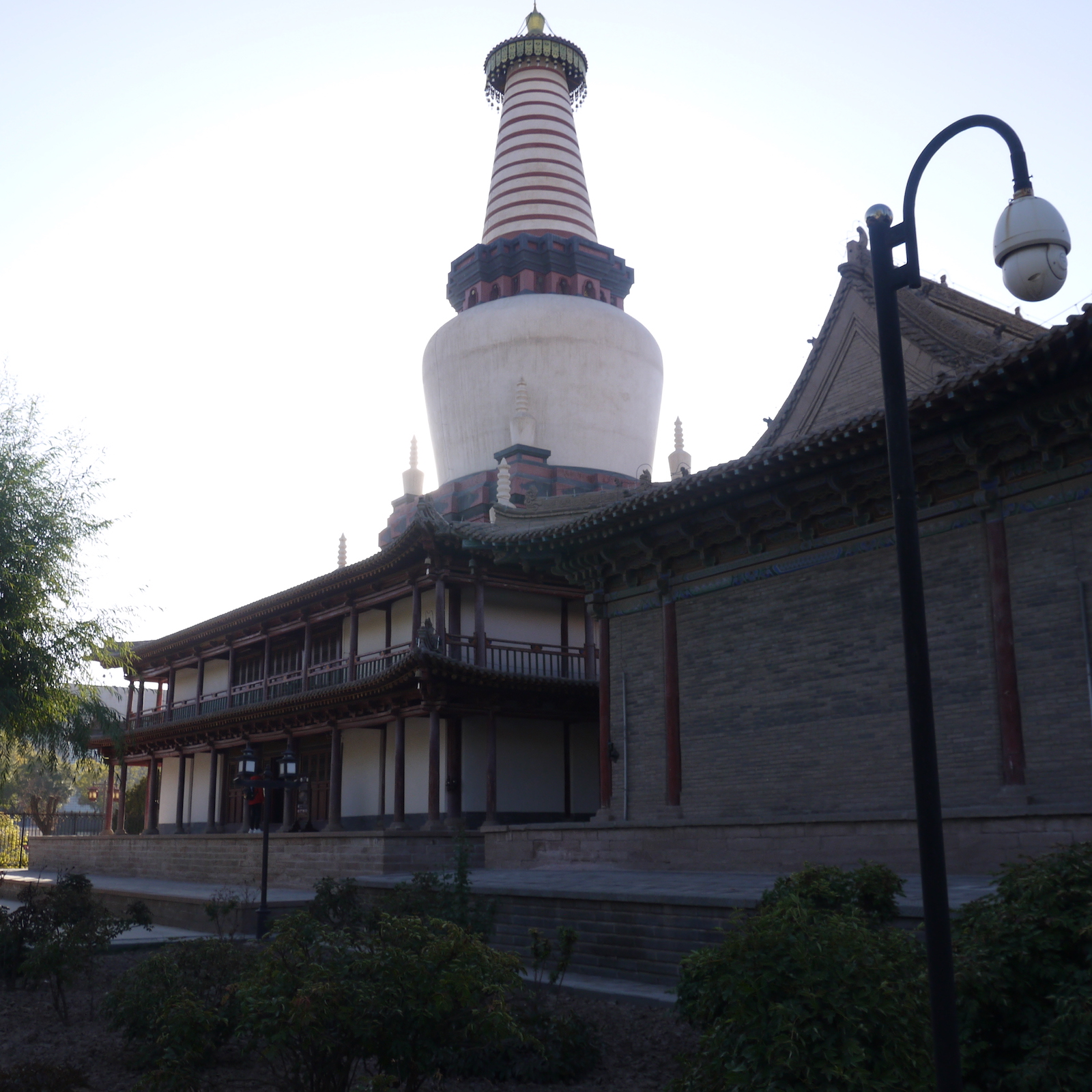 北京自驾额济纳胡杨林十天攻略,从北京到额济纳胡杨林线路