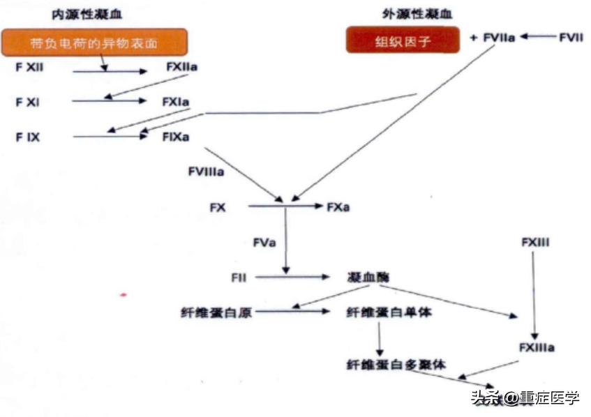 凝血七项中各指标意义,凝血功能七项是什么意思
