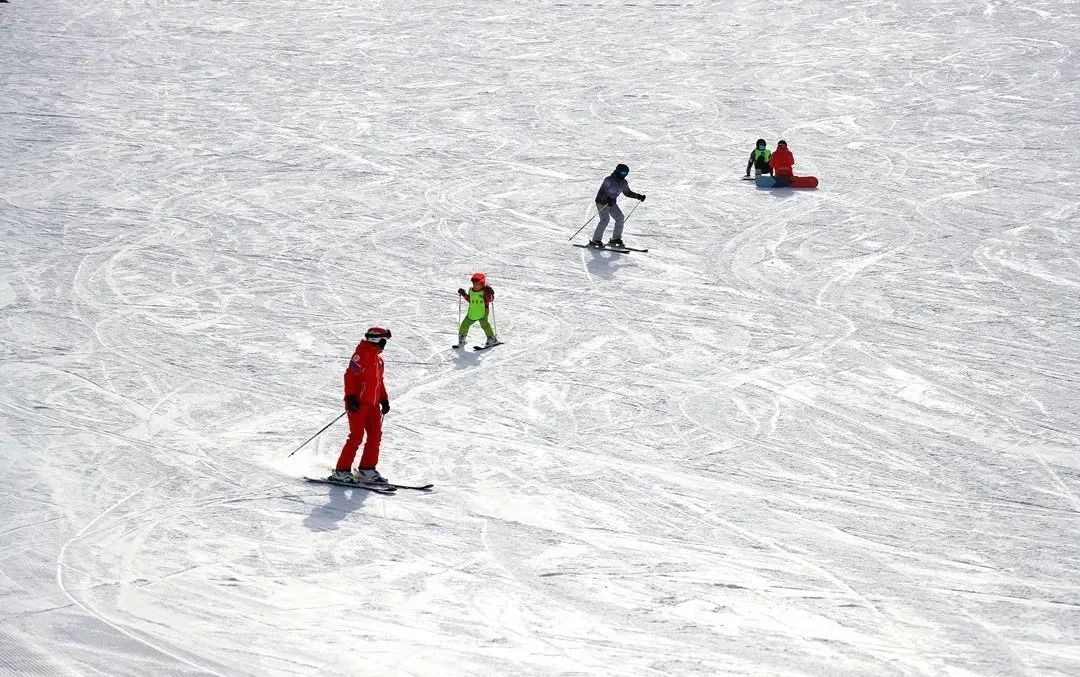 北京滑雪场推荐云居滑雪场,云居滑雪场和石京龙滑雪场哪个好