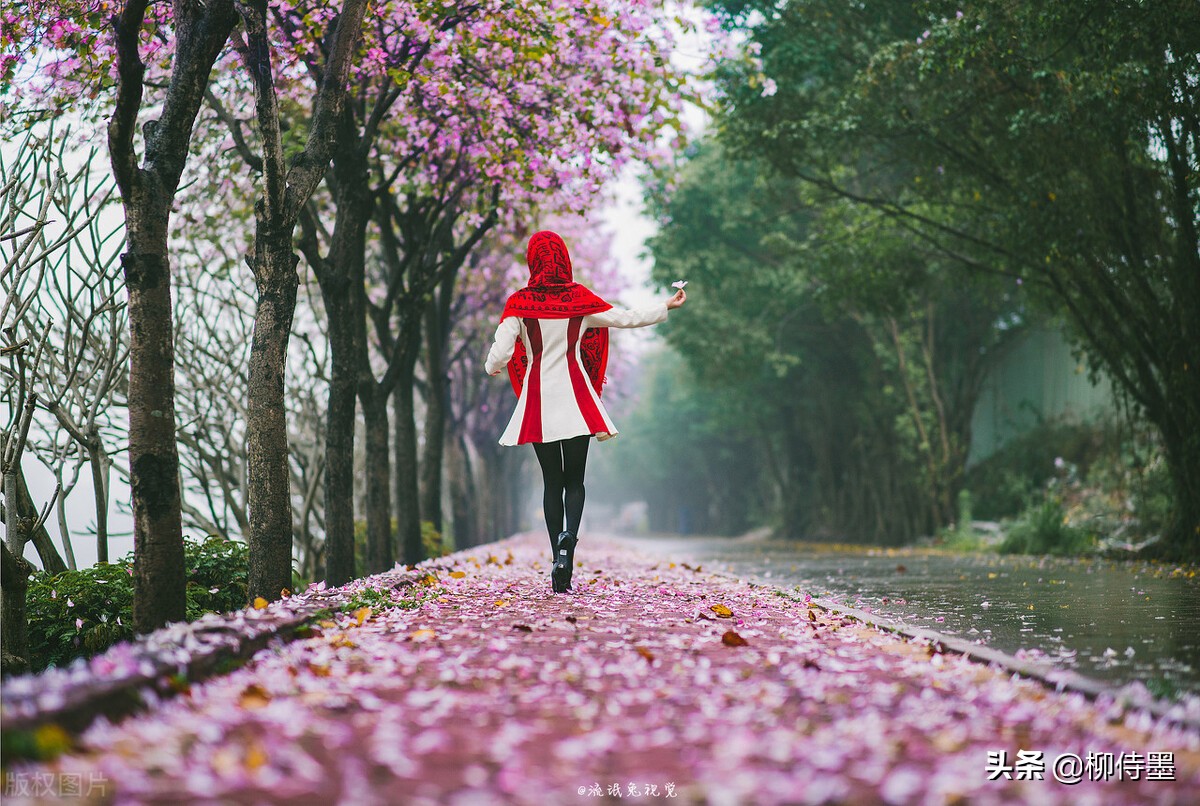 手机摄影照片细节拍摄技巧,手机摄影拍照的五大误区