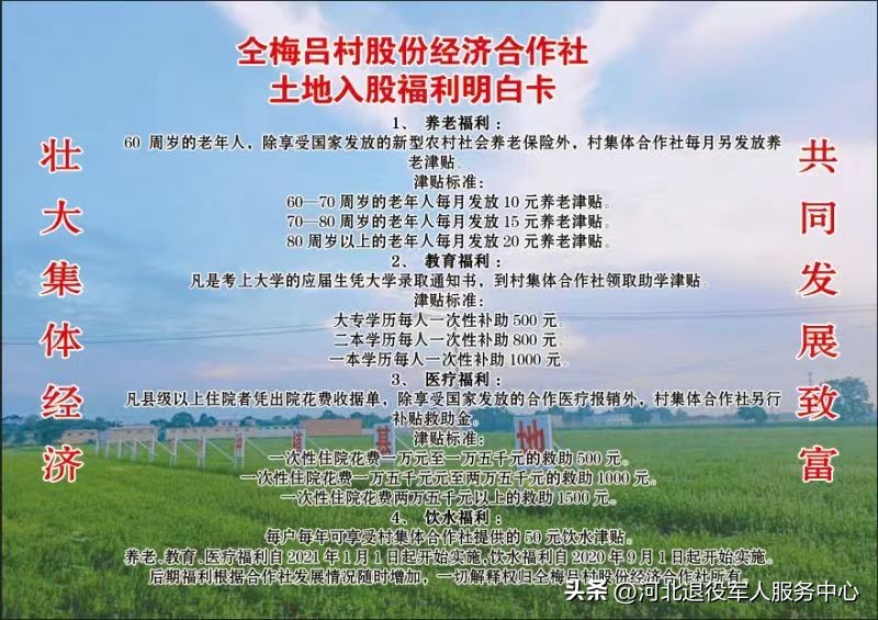 壮大集体经济实现乡村振兴——记元氏县南因镇仝梅吕村“兵支书”仝亚辉