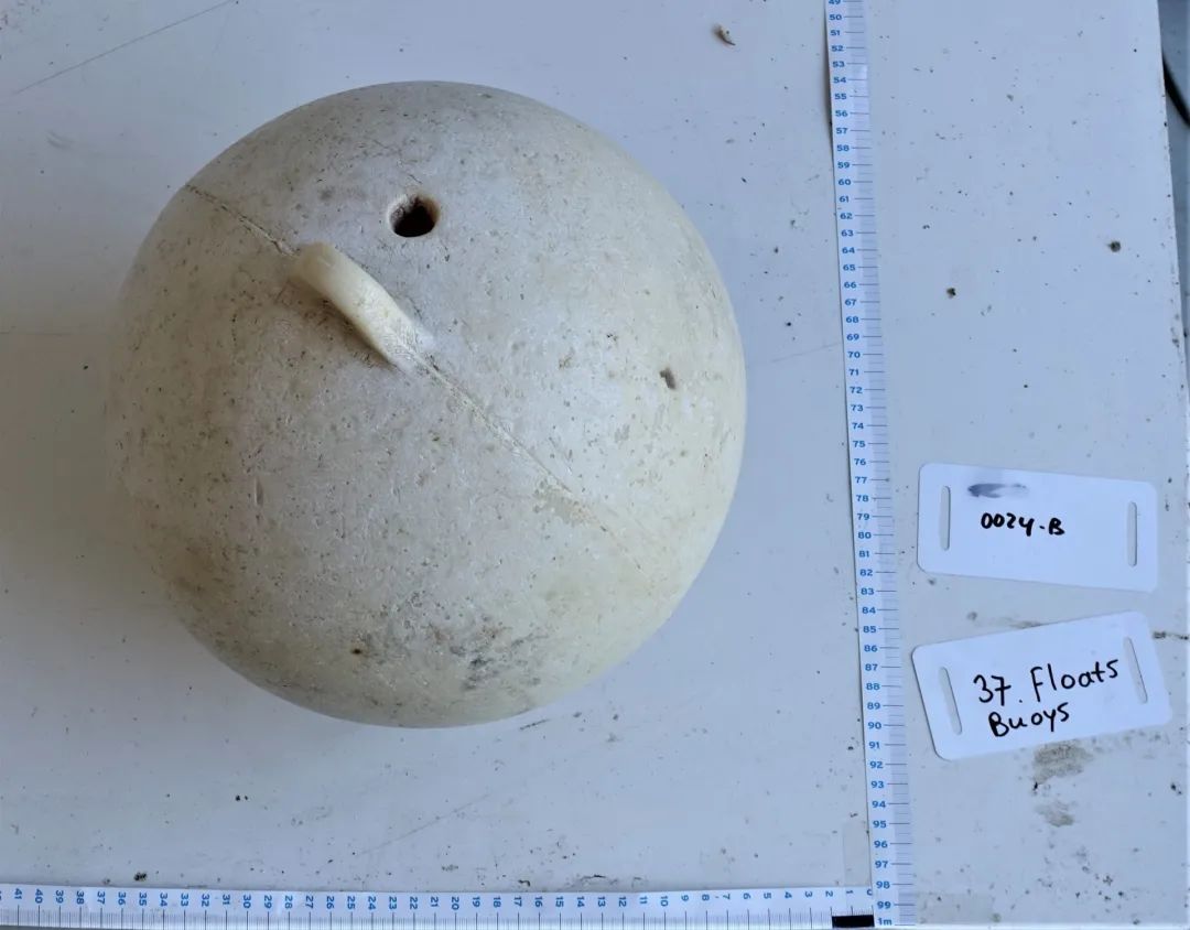 这个“垃圾大国”，真是让我开眼了