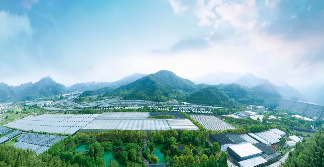 寿仙谷入选“农业产业化国家重点龙头企业”名单