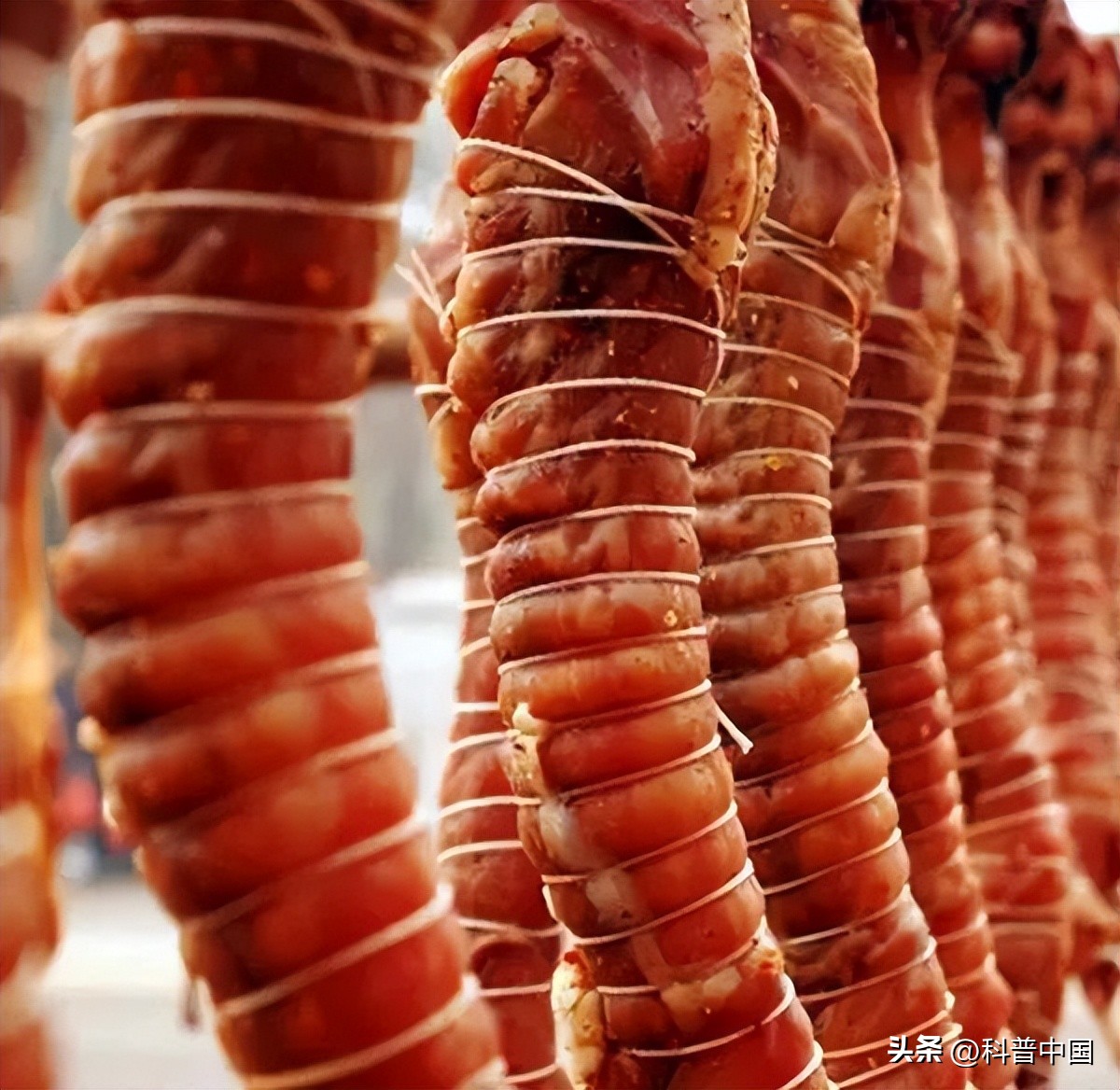 兔子哪个省吃得最多,中国哪里的兔子最好