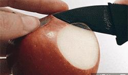 生物老师是女的,生物老师是个女的