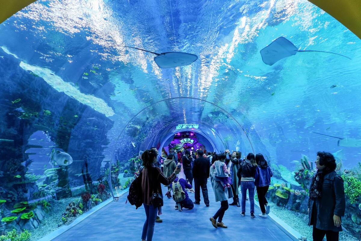 上海必打卡的几个景点,上海必打卡景点旅游攻略