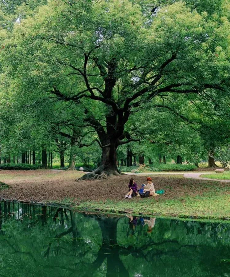 45句极美诗词读后唇齿留香,人间情怀最经典十首诗词大全