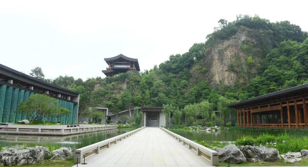 浙江八八战略实施二十周年,八八战略引领浙江精彩蝶变