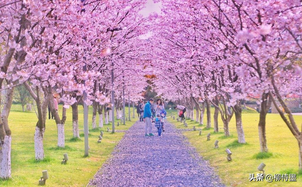 手机摄影照片细节拍摄技巧,手机摄影拍照的五大误区