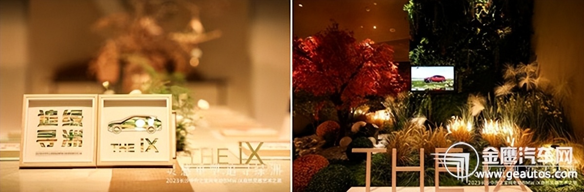 2023长沙中升之宝纯电动BMWiX自然灵感艺术之旅