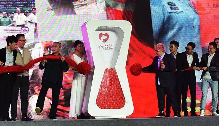 宠物基础服务包括什么服务,宠物服务包括哪些内容呢