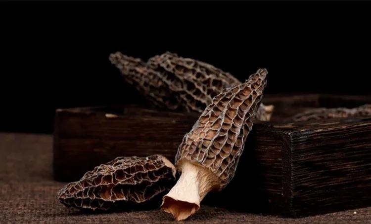 长寿老人多吃这六种食物,长寿老人必吃五种食物有哪些