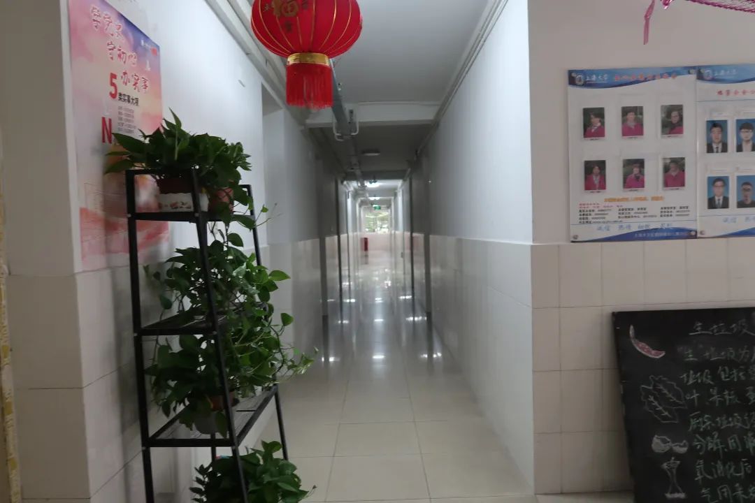 上海大学MPAcc研究生宿舍环境原来是这样