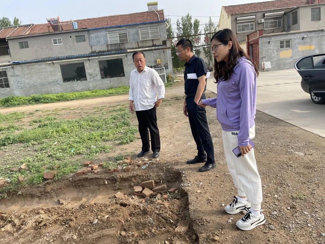 赵虎镇一周工作动态,德州赵虎镇5年计划