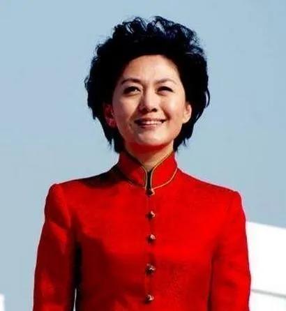 央视新闻联播女主持人海霞,央视主持人海霞气质照片