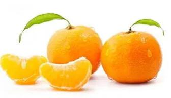 孩子作文不会写试试这个方法,孩子作文不会写应该怎么样引导