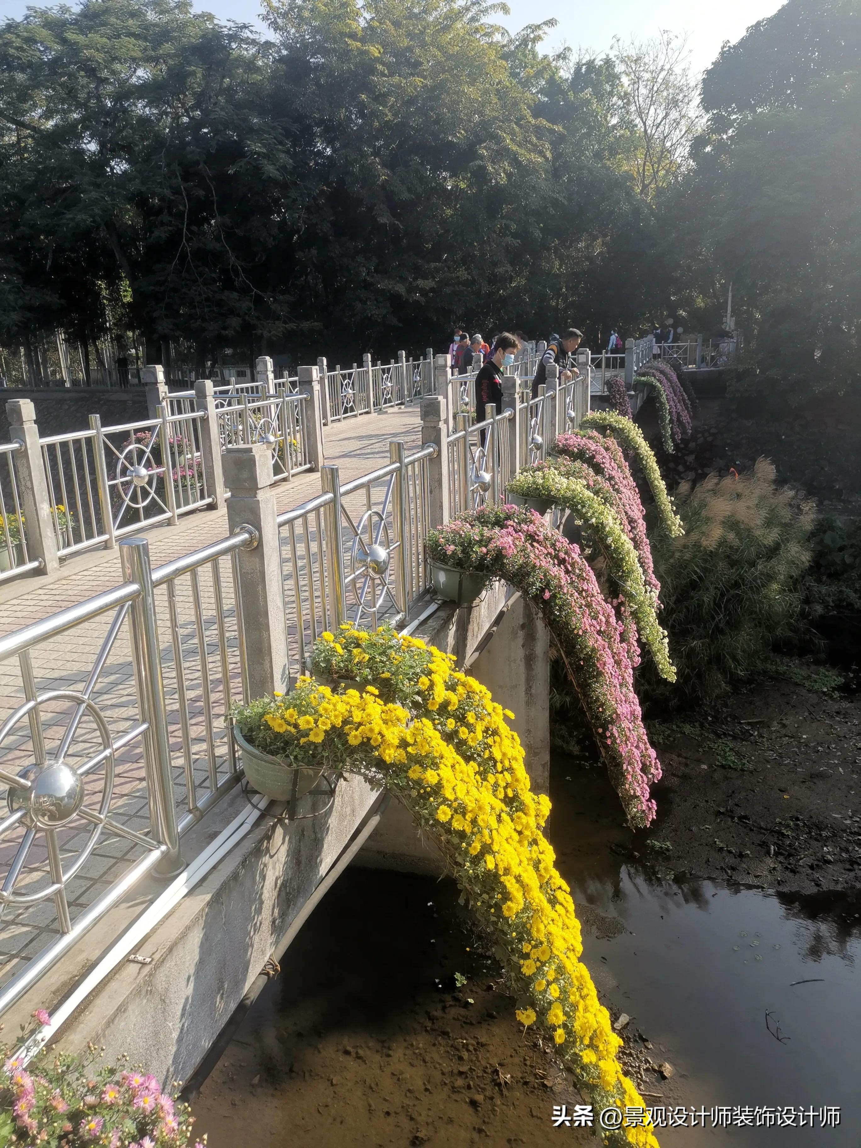 深圳市东湖公园广场舞,深圳市东湖公园收费标准