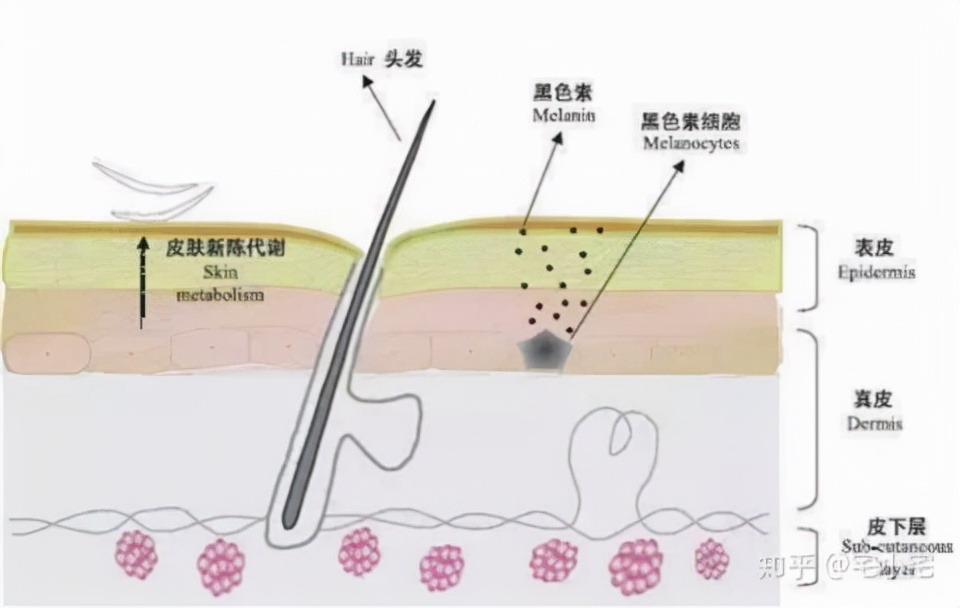性价比最高的美白祛斑精华,城野377和科颜氏美白祛斑精华
