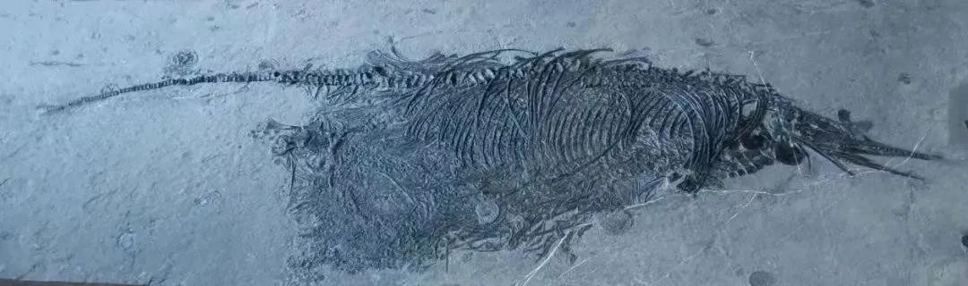 成都风景最美的大学,成都高颜值高校