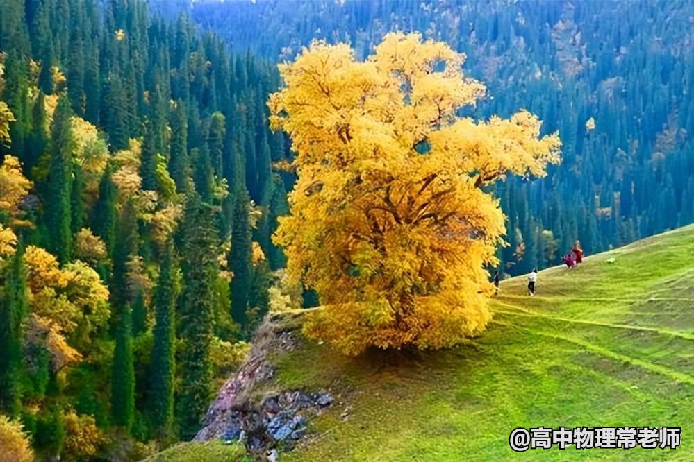 鐙簱鍏矾鐜枂鍗楀寳,鐙簱鍏矾淇￠┈娓哥枂