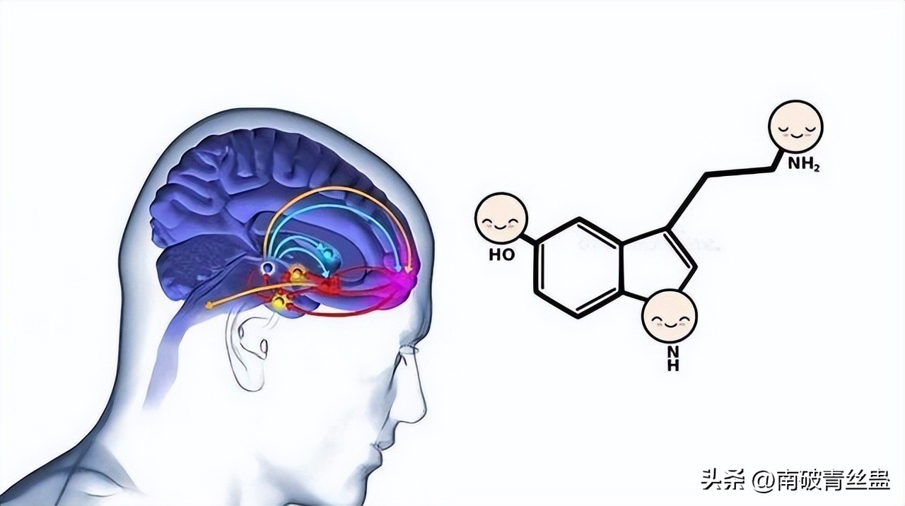 激素传递过程,激素传递信号的过程