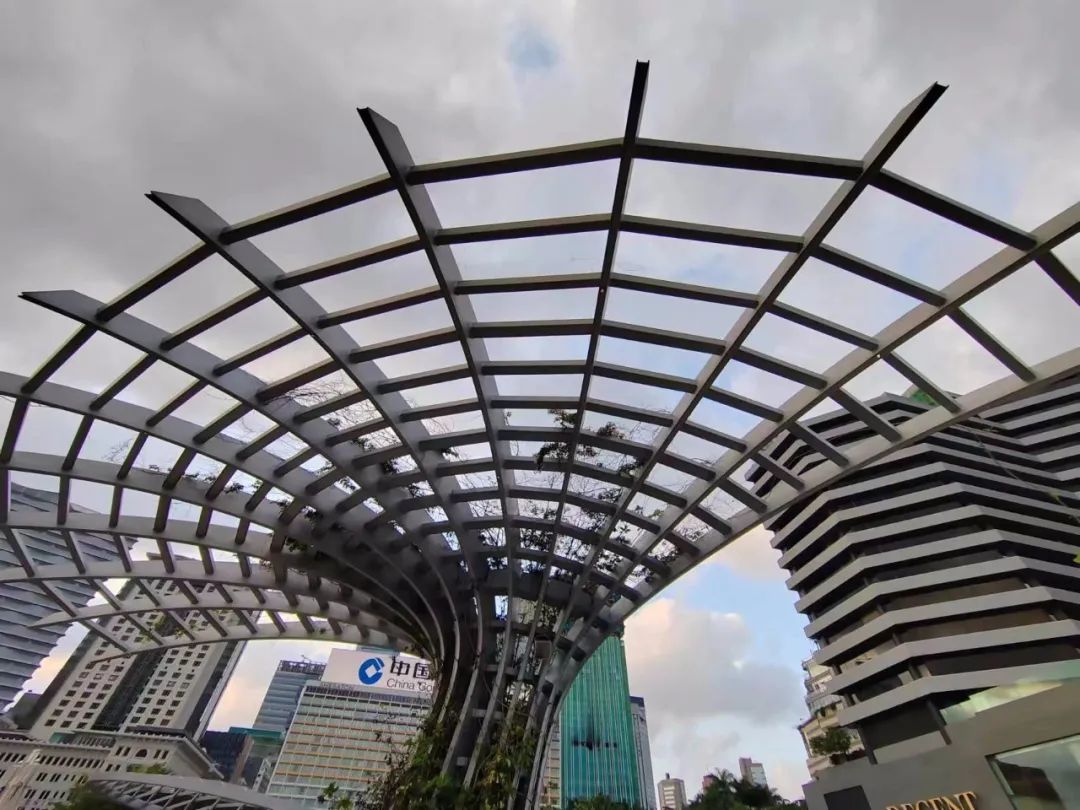 香港地理讲解视频,地理冷知识