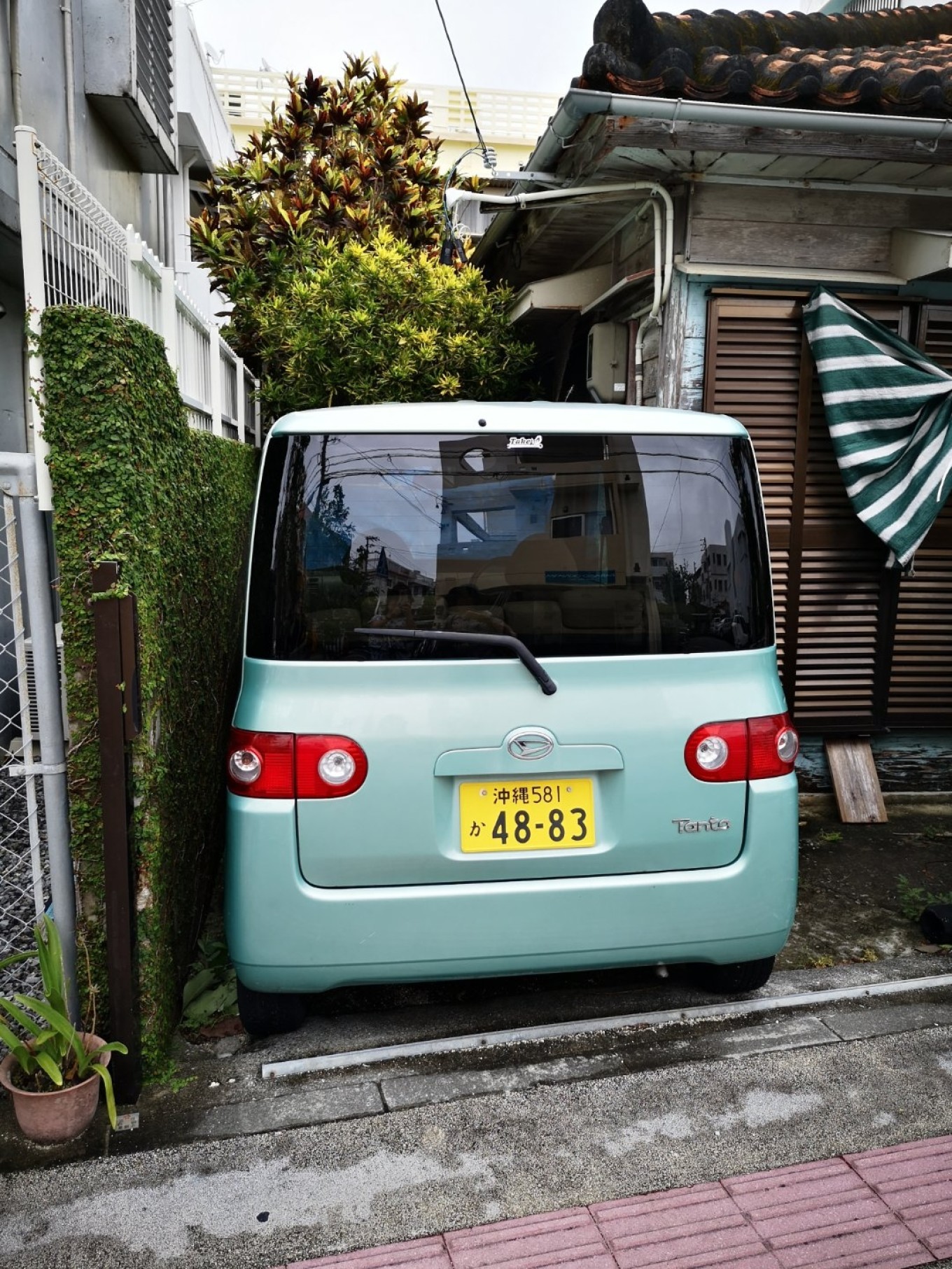 暑期档2019年,2019年暑期档