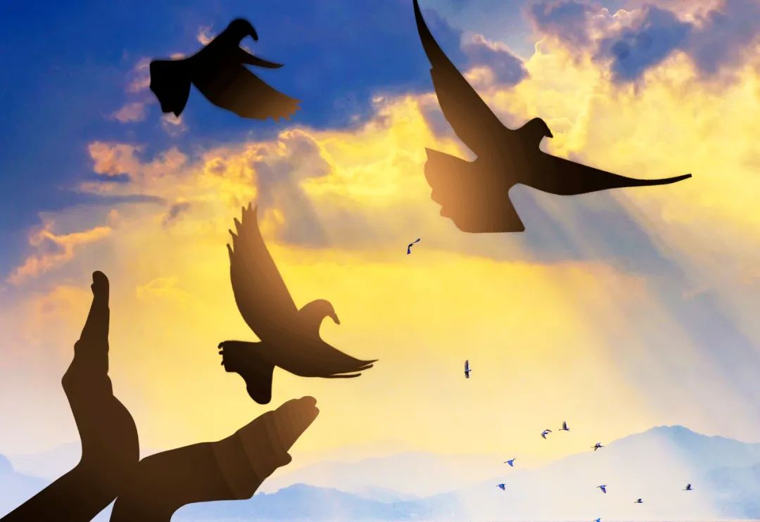 靶向耐药的最佳治疗方法 (新一代靶向治疗耐药还能活多久)