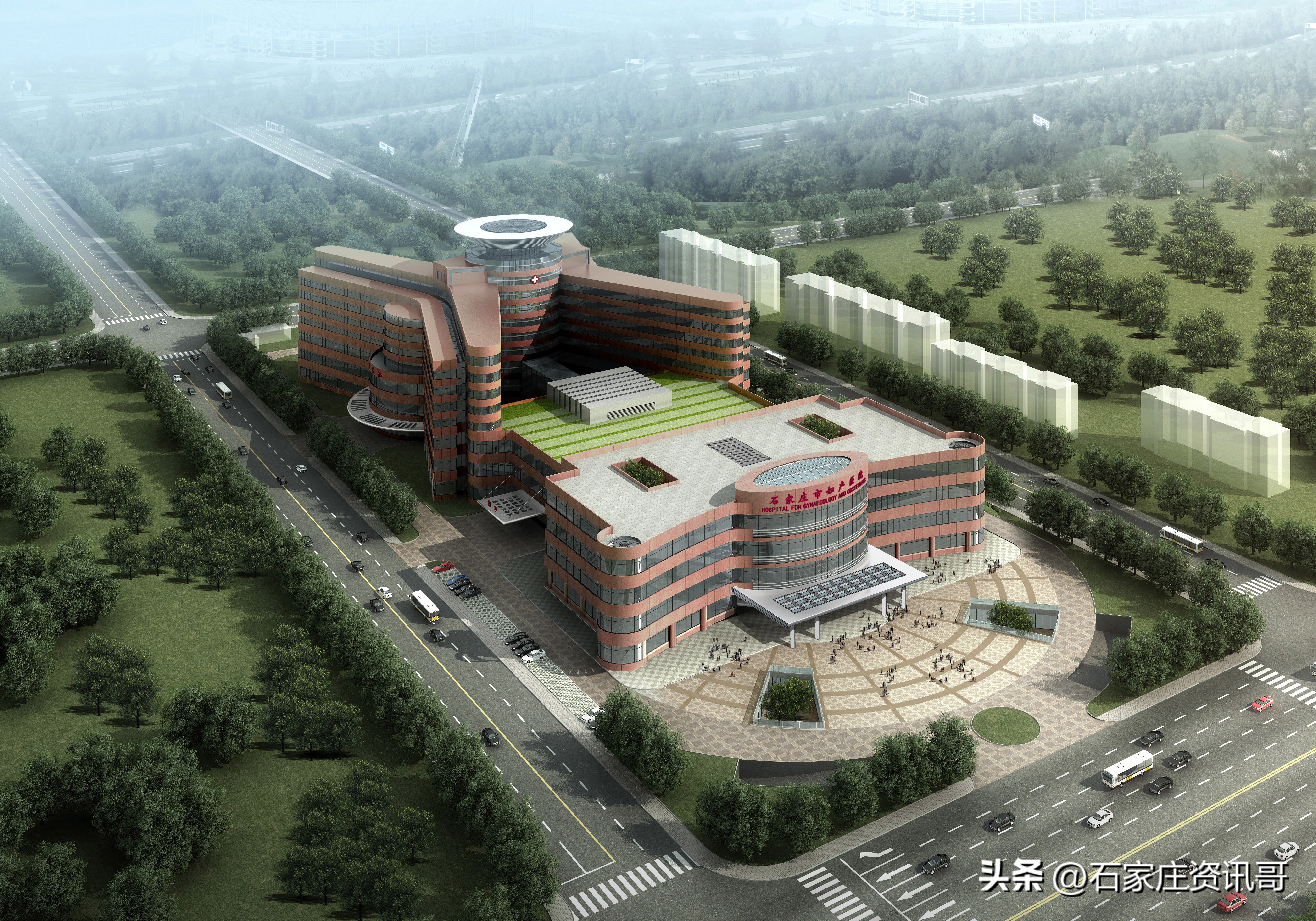 石家庄省医院新生儿筛查项目,河北新生儿免费试点县