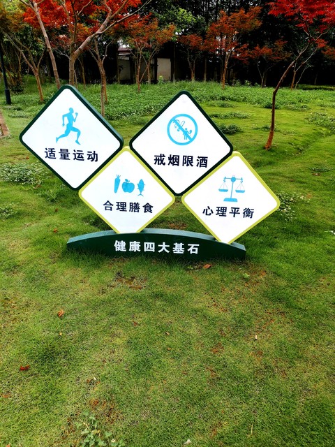 生化前白蛋白低的原因及危害,生化白蛋白偏低怎么办