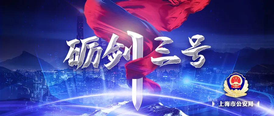 砺剑3号,砺剑3号整治行动