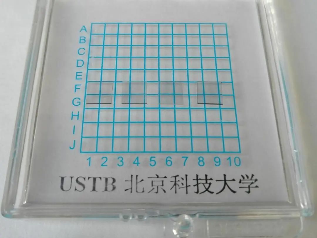 喜报获得金奖,喜报省特等奖