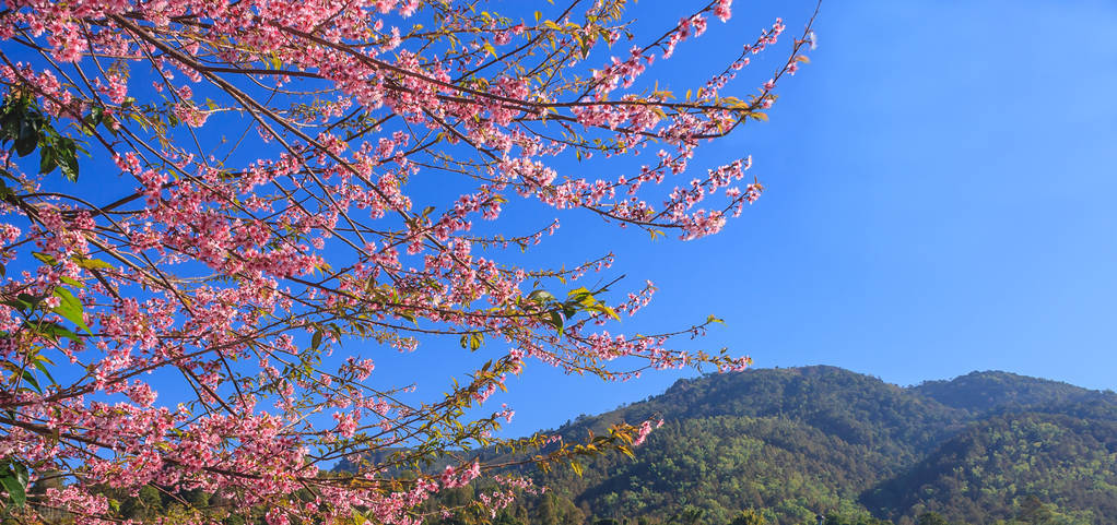 2023年100个赚钱项目,50个赚钱项目排行榜